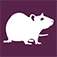 Cellar Rat logo
