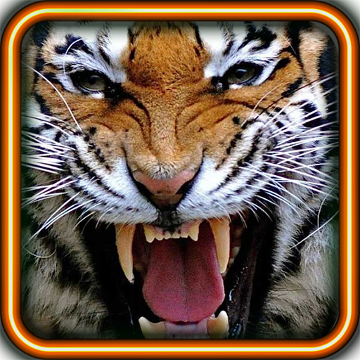 Wild Tigers Hunt HD LWP LOGO-APP點子