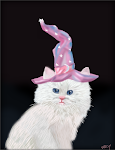 Wizzy Cat