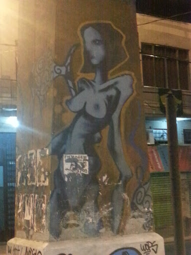 Arte De Rua - Mulher Avata
