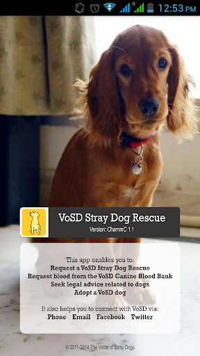 The VoSD Stray Dog Rescue App