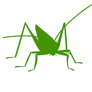 Orthoptera