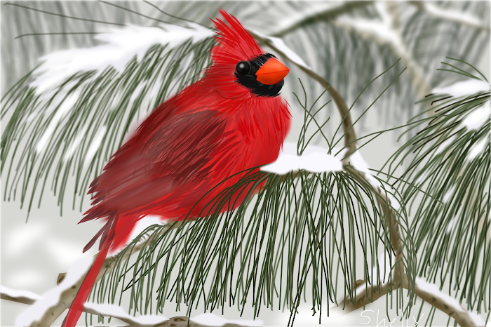 Cardinal in the Snow