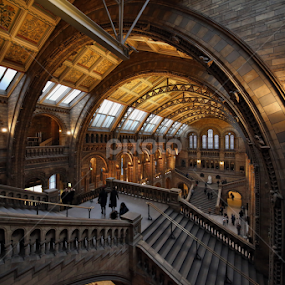 Wide at NHM ii by Almas Bavcic - Buildings & Architecture Other Interior