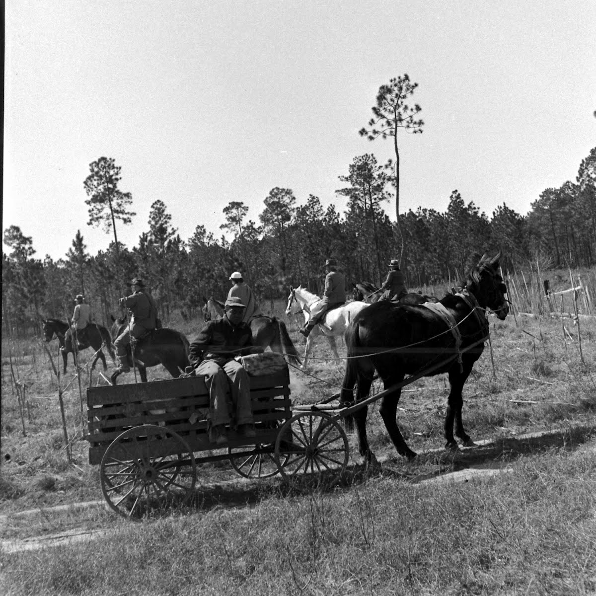 Quail Hunt, South Carolina Edward Clark — Google Arts & Culture