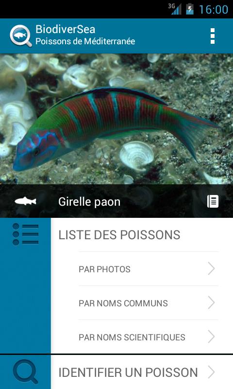 Android application BiodiverSea - Poissons screenshort