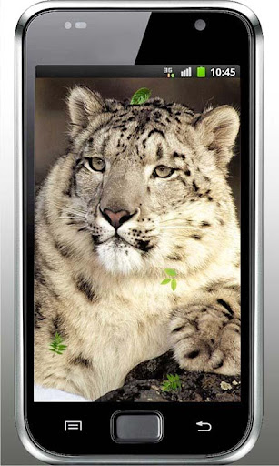 Snow Leopard HD live wallpaper