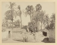 Dorpsgezicht bij Luxor met palmen