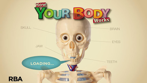 How Your Body Works