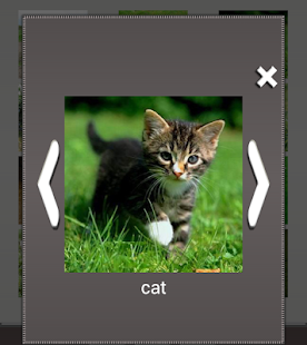 Animal sounds Screenshots 16