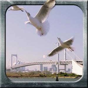 旅行攝影30法完整版.apk 1.0