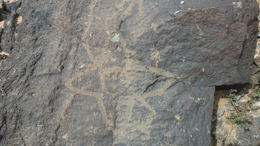 Flower Petroglyph
