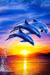 Dolphin Wallpaper 3D FREE Screenshots 16