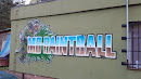 Paintball Arena