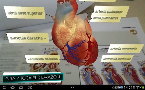 How to get ARcuerpohumano 1.1 apk for bluestacks