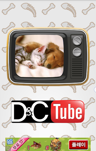 D C Tube:고양이와 강아지 동영상 cat dog
