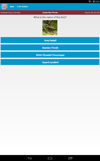 【免費教育App】Australian Birds Sounds Free-APP點子