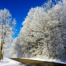 Hoar Frost Exposion by Christine Weaver-Cimala - Landscapes Weather