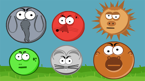 Crazy Squirrel poster 3