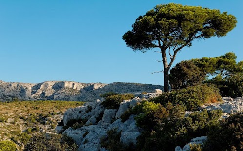 How to mod Provence, France - Wallpaper 1 unlimited apk for laptop