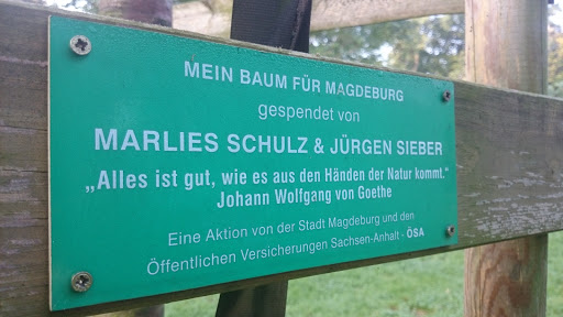 Mein Baum Für MD: Marlies & Jürgen