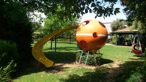 Orange Playground