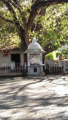 Buddha Statue At Mahaweli Office