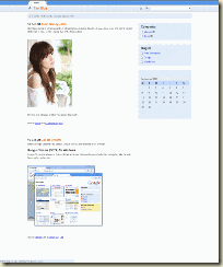 googlechrome-wp-theme1