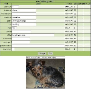 Lastest SQLite Manager Eyes On APK for Android