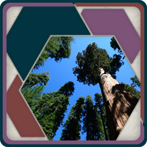 HexSaw - Redwoods LOGO-APP點子