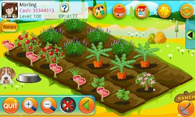 Papaya Farm HD