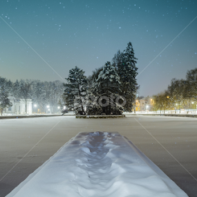 Frozen lake by Marius Neag - City,  Street & Park City Parks