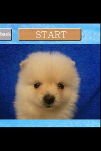 How to mod puzzle Dog lastet apk for laptop