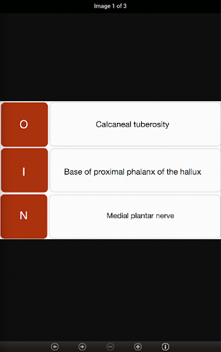 【免費醫療App】Dry Needling 101-APP點子