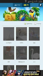 재밌는 교육 사전 – 동물원 (실사 동영상/동물화보) Screenshots 3