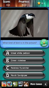 Bird Species Quiz HD Screenshots 2