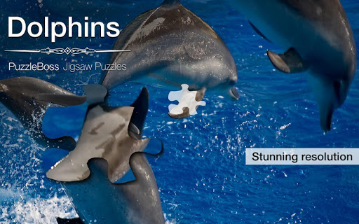 Dolphin Jigsaw Puzzles