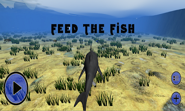 Feed The Fish APK Download for Android