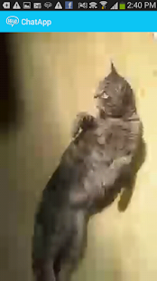 Lastest HitcherChat- Wifi Direct Share APK for PC