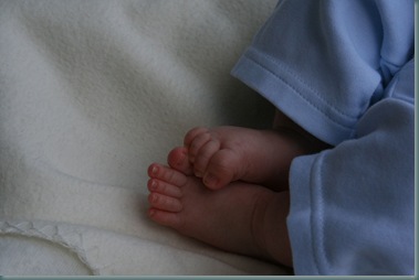 EllenJune08_0234