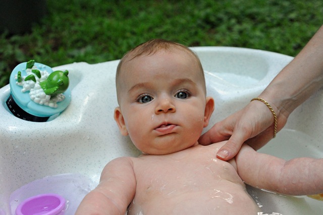[DSC_00062[3].jpg]