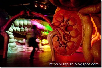 pic08875