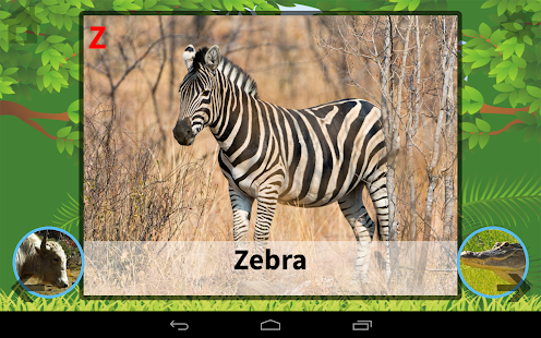 ABC Animals Flash Card Screenshots 5