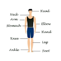 Human Body Facts