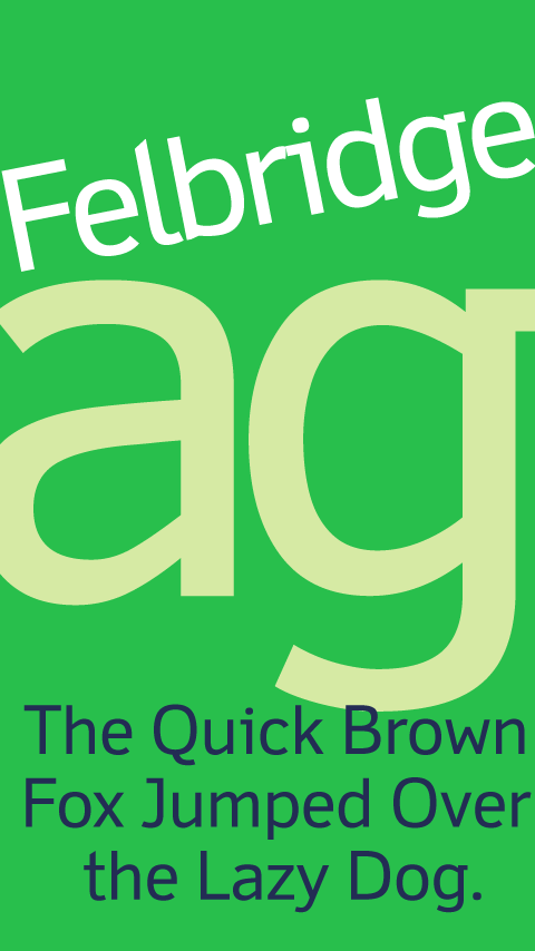 Felbridge FlipFont Screen 1