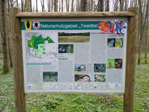 Naturschutzgebiet Twedter Feld Torfmoos