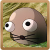 Mole Storm HD