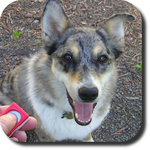 Download Dog Whistle Trainer High Pitch APK for Android