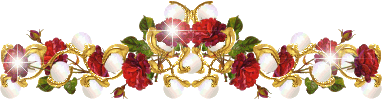 e9969UTnq6.jpg.png