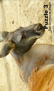 Animal Puzzle Screenshots 2